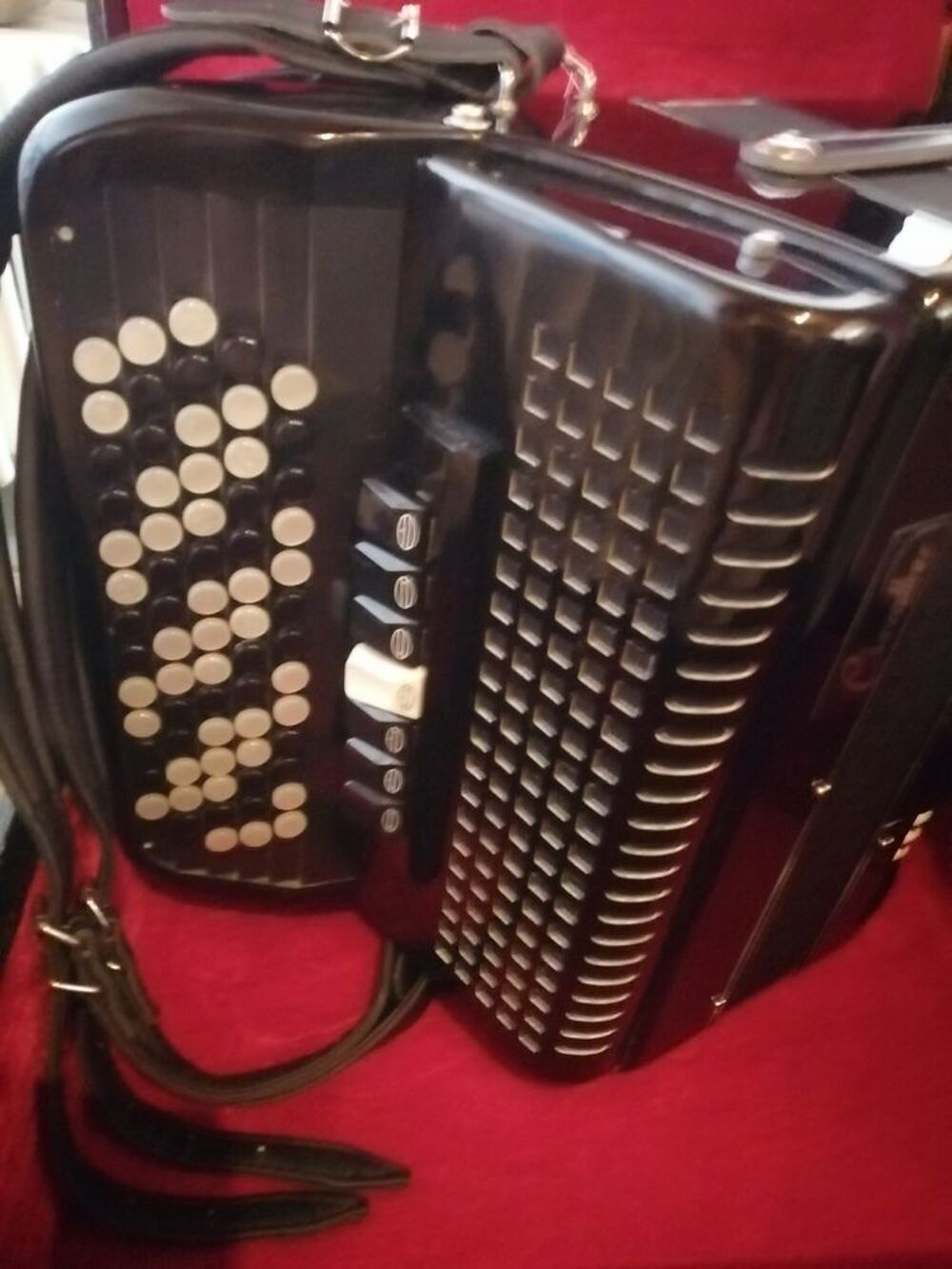 Accord&eacute;on d'&eacute;tude adultes Instruments de musique