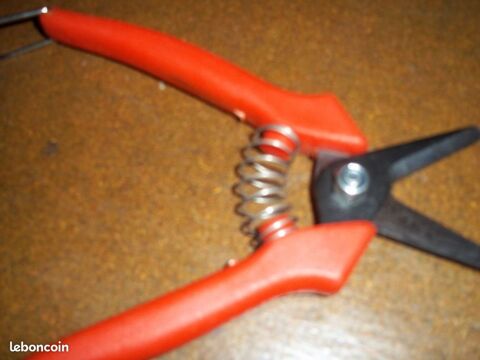 CISAILLE DE JARDIN 1 Toulouse (31)