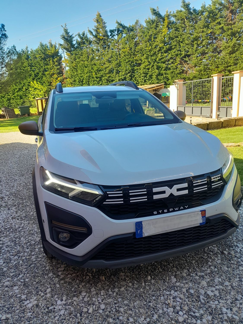 Sandero TCe 110 Stepway Extreme 2024 occasion 30300 Beaucaire
