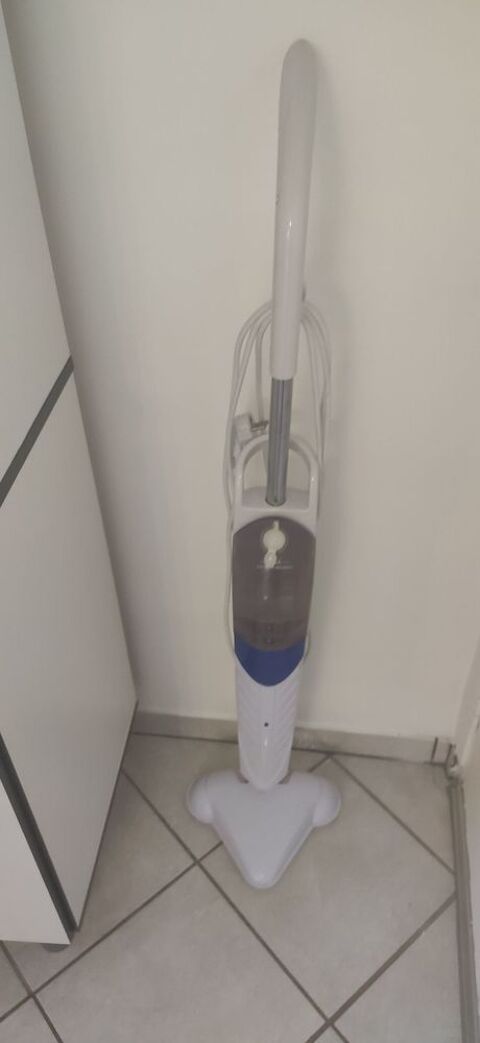 balai vapeur 15 Rozoy-sur-Serre (02)