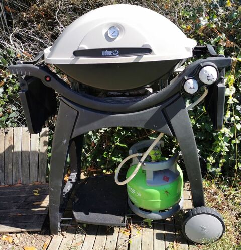 BARBECUE WEBER 170 Saintes (17)