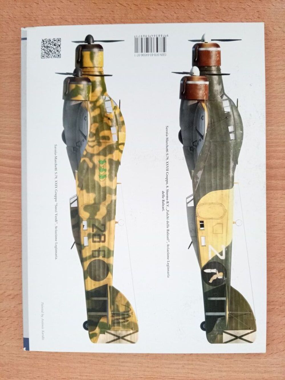 Regia Aeronautica in the Spanish Civil War 1936-1937: Vol.2 Livres et BD