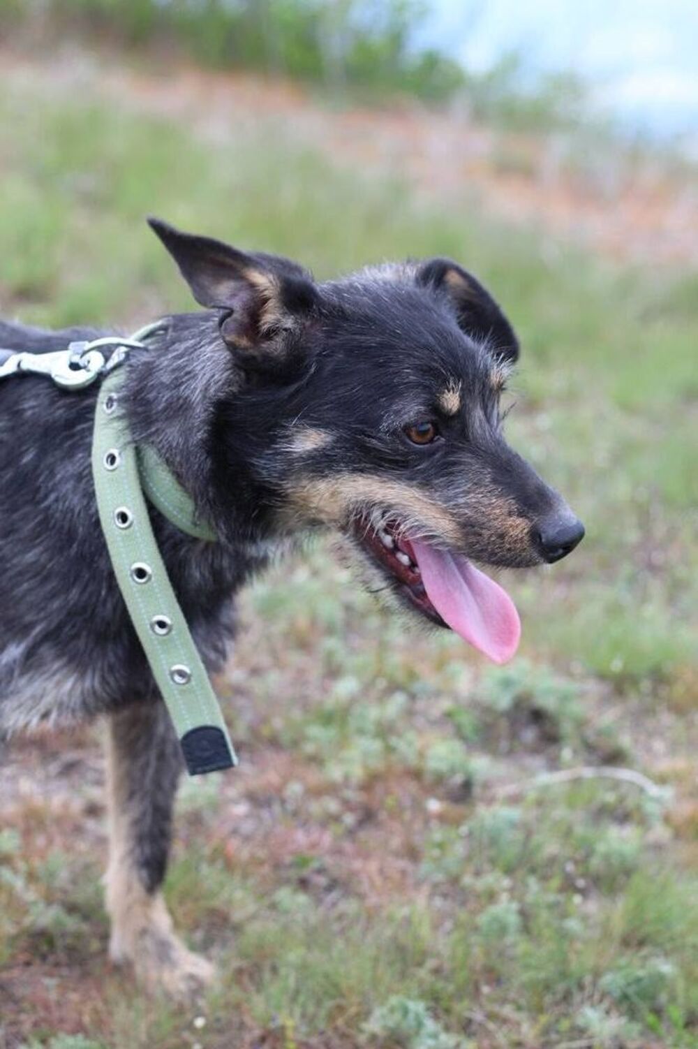   SIMKA SE TROUVE DANS UN REFUGE EN UKRAINE 