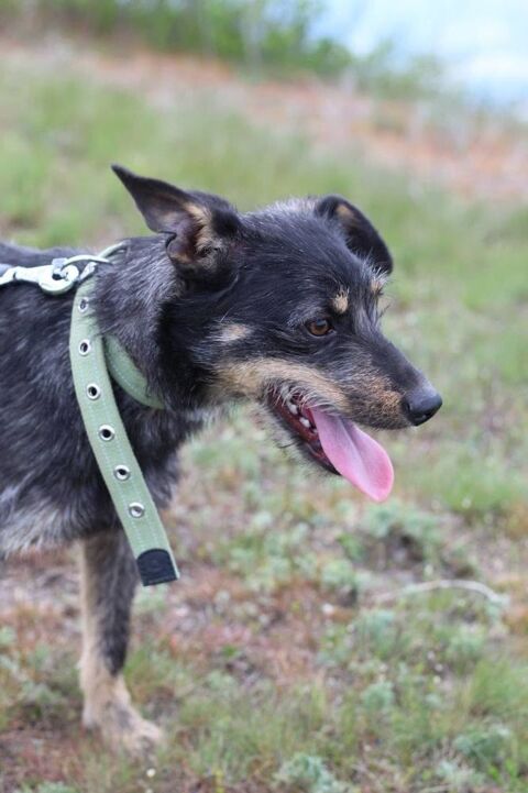 SIMKA SE TROUVE DANS UN REFUGE EN UKRAINE 0 75018 Paris