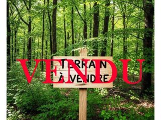  Terrain � vendre 3234 m� P�aule