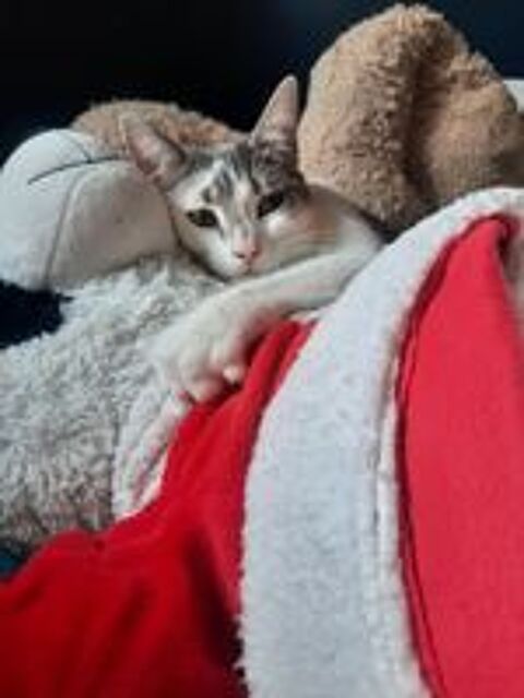   Silo Chatte - Leforest 62 