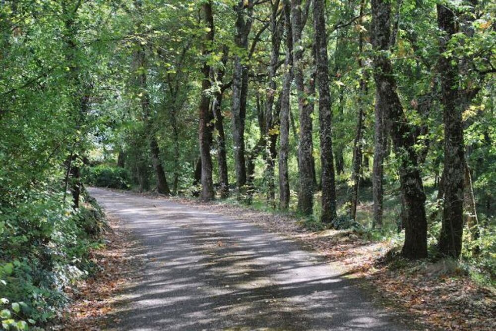 Vente Maison Maison 180m2 Cahors