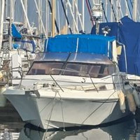 Vedette - Yacht - Offshore 1987 occasion 20230 Moriani Plage