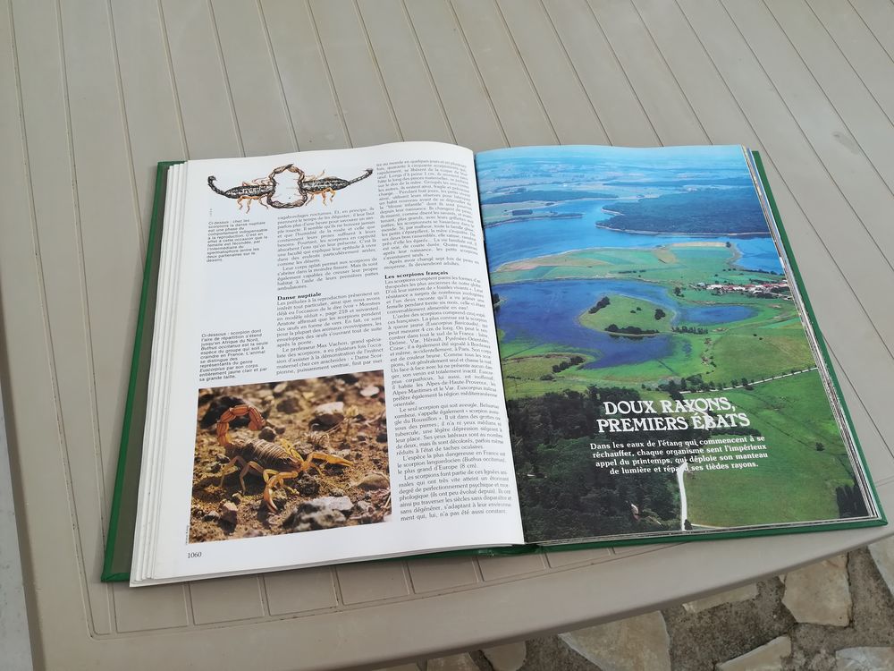 la vie secrete de la nature en france Livres et BD