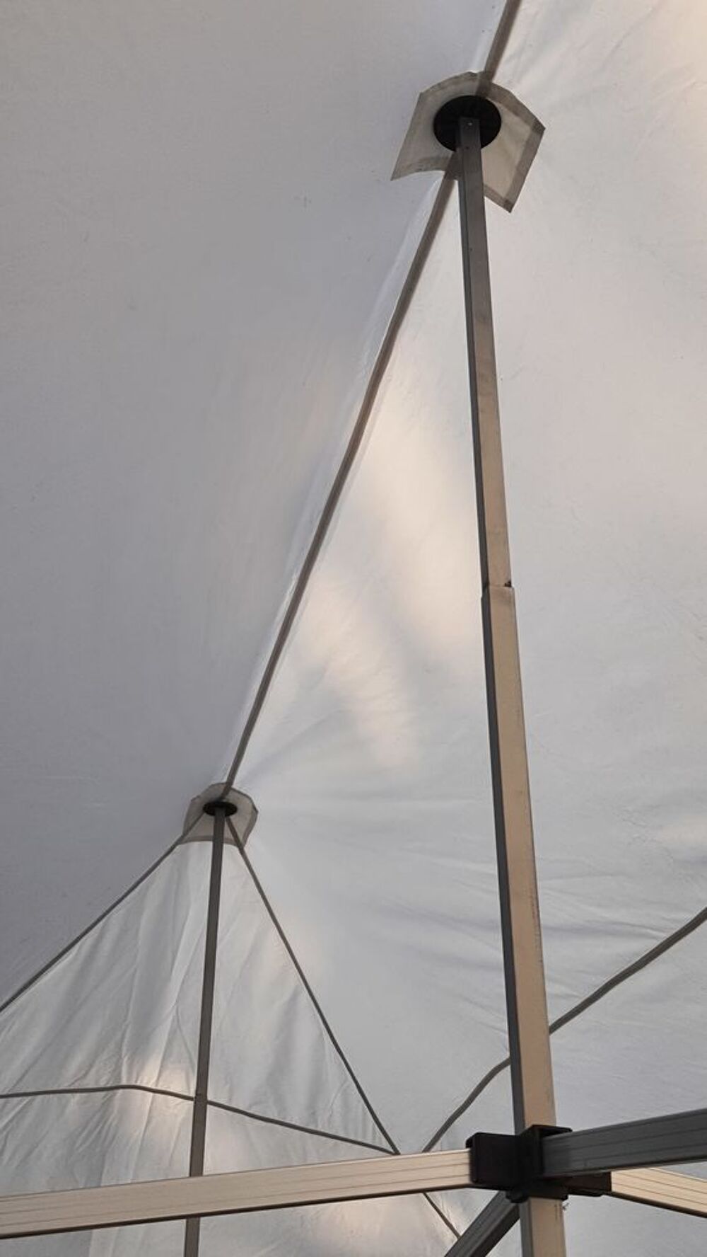 barnum blanc de 8 x 4 m&egrave;tres (tente de r&eacute;ception) Jardin