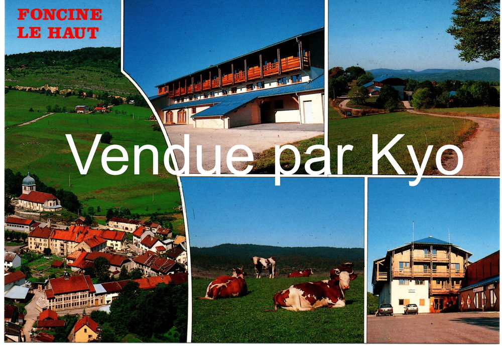 Carte Postale village Foncine-le-Haut, Montagnes Jura vache 