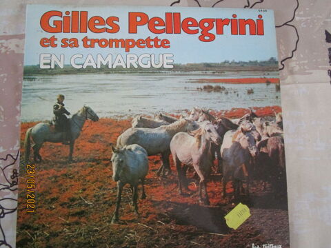 vinyle de Gilles Pellegrini et sa trompette en Camargue 12 Chanteloup-en-Brie (77)