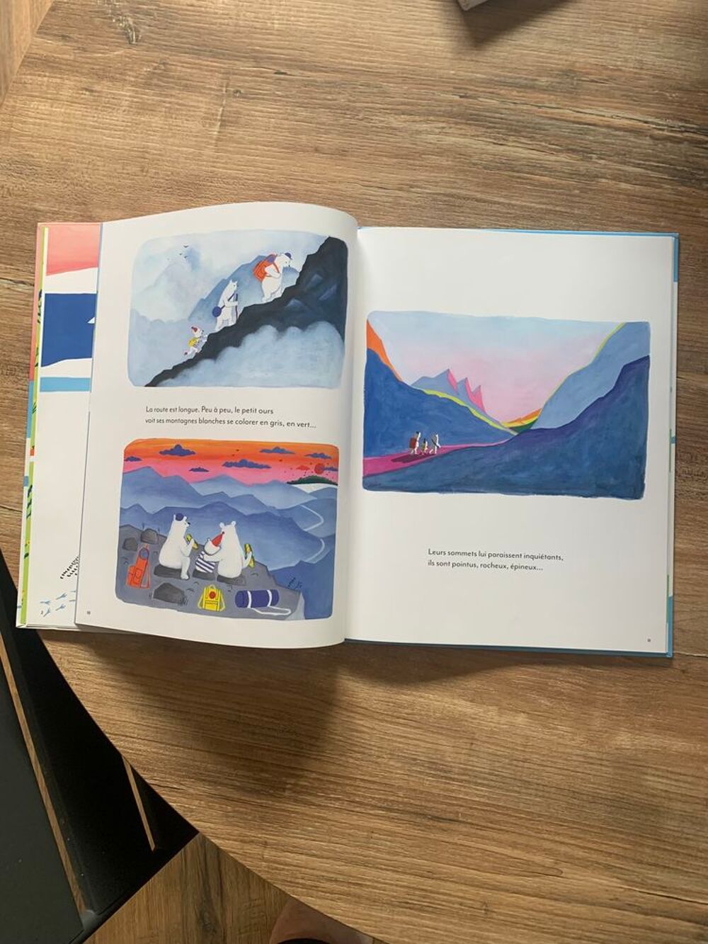 Livre enfant " L' extraordinaire voyage de Merli Livres et BD