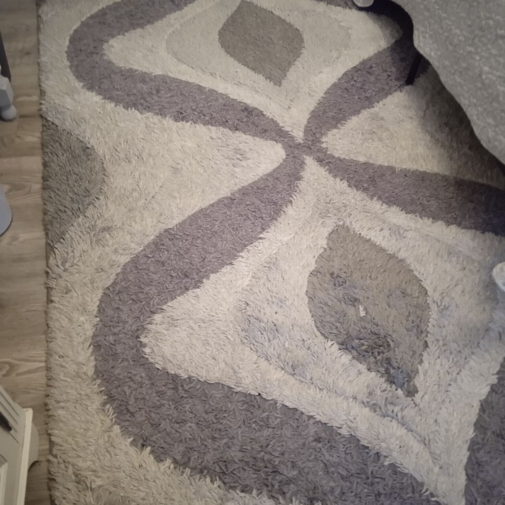 Grand tapis poils longs blanc et gris 230*160 Décoration