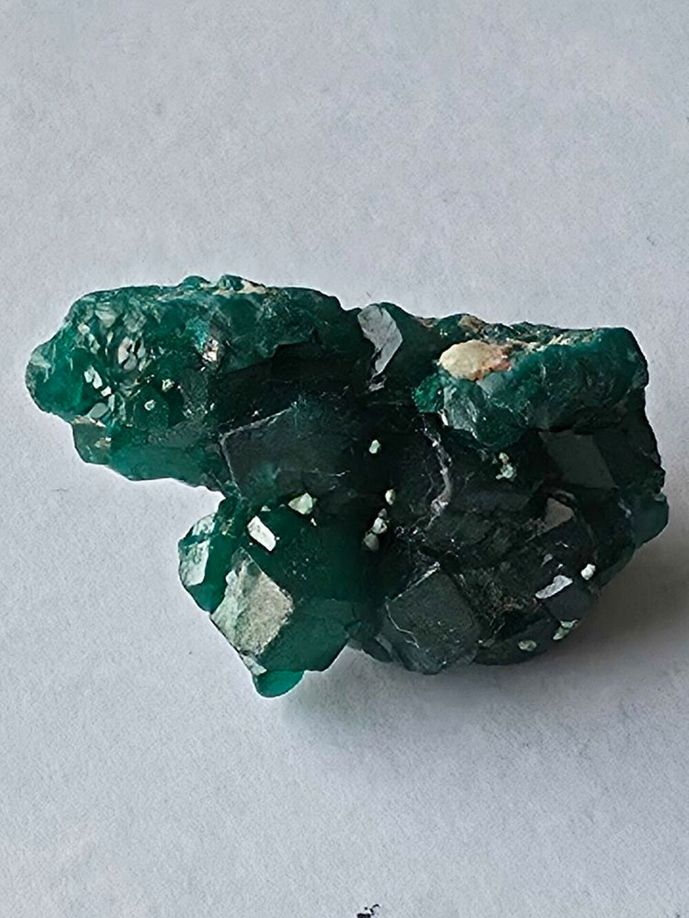 Superbe Dioptase sur Matrice-Katanga, RDC (5g) 