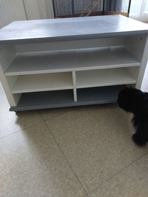 table de salon 50 Nantes (44)