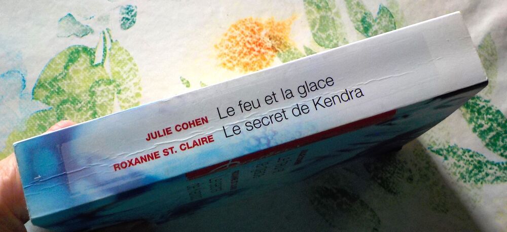 LE FEU ET LA GLACE / LE SECRET DE KENDRA Harlequin Passions Livres et BD
