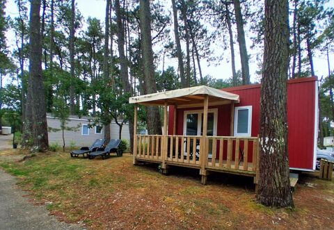 Mobil-Home Mobil-Home 2021 occasion Seignosse 40510