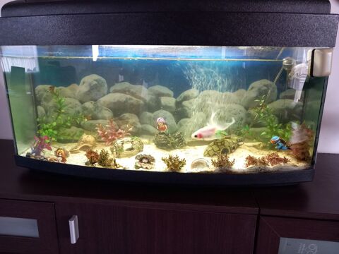 aquarium 100L 0 57860 Montois-la-montagne