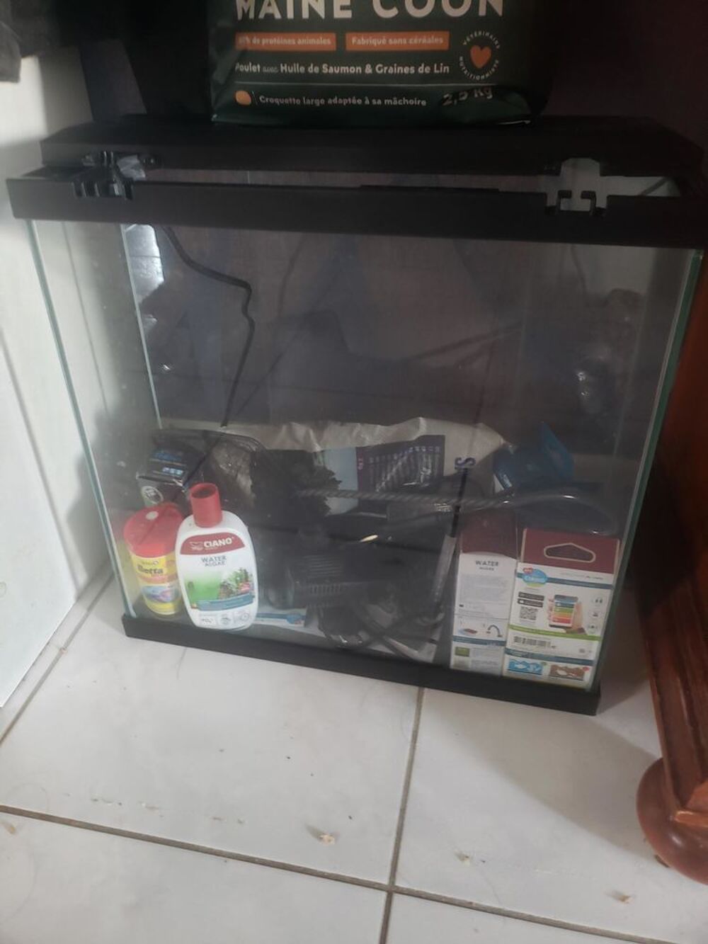   aquarium combattant 