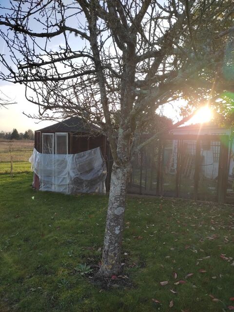 Grande voli&egrave;re 499 45430 Ch�cy