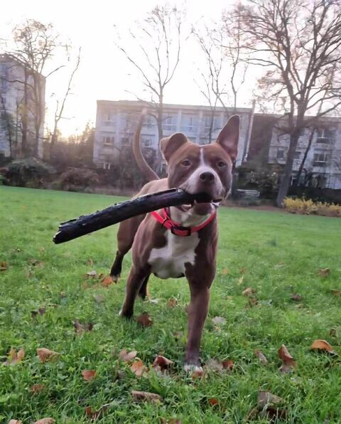 Monsieur TATUM 350 94000 Cr�teil