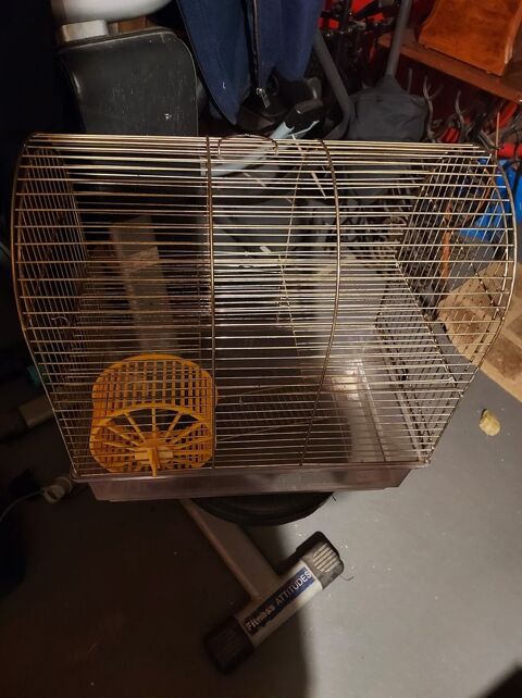 grande cage à hamster 10 Richeling (57)