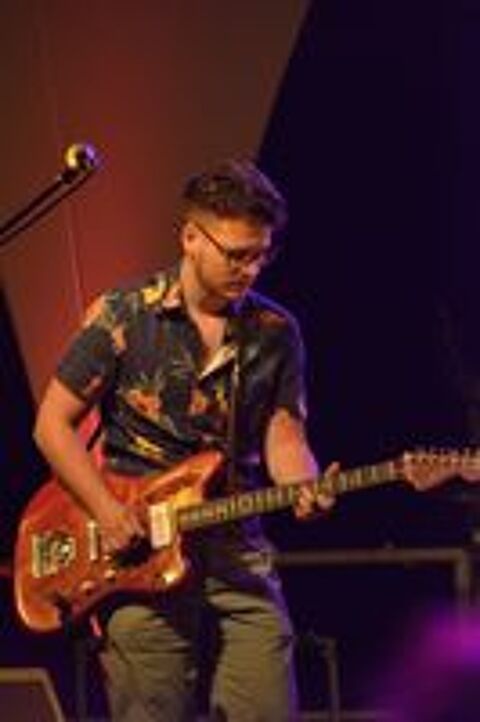   Enseignant de guitare, de basse, de ukulélé et de banjo 