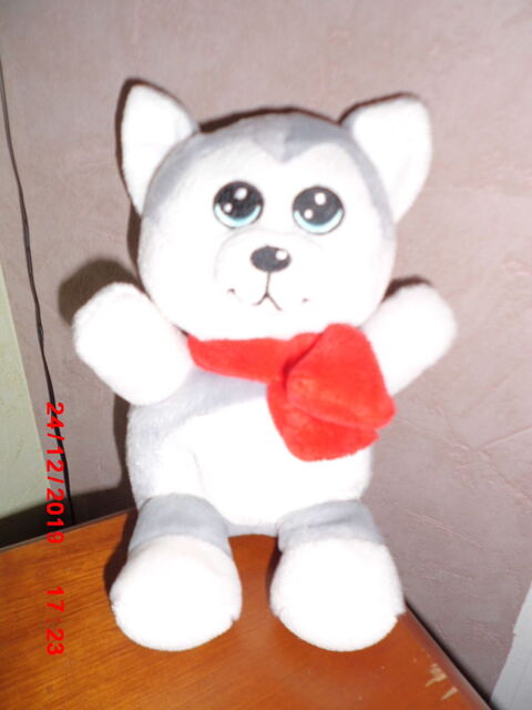 chien des neiges peeko 15 Oignies (62)