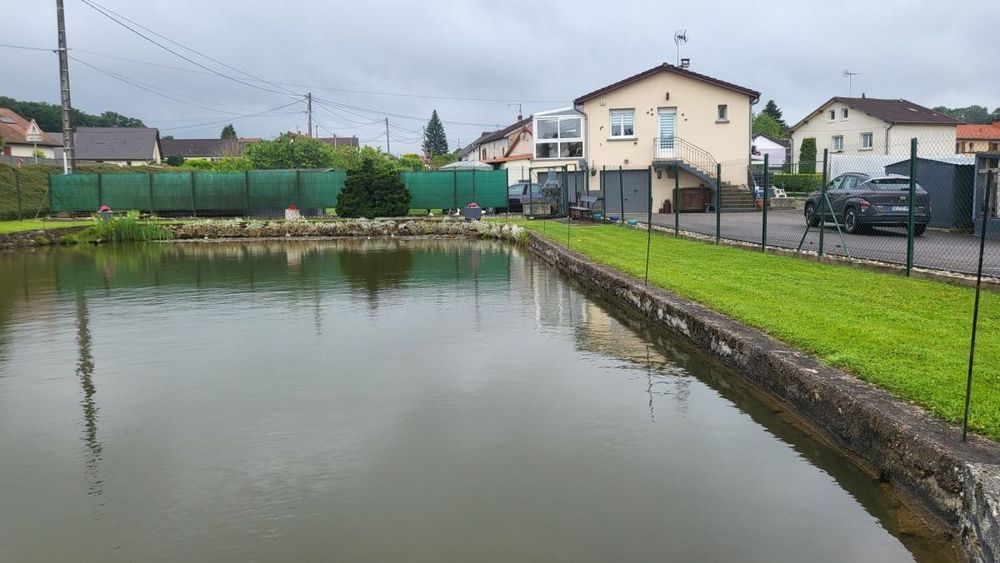 Vente Maison Maison individuelle occupée avec étang Aydoilles