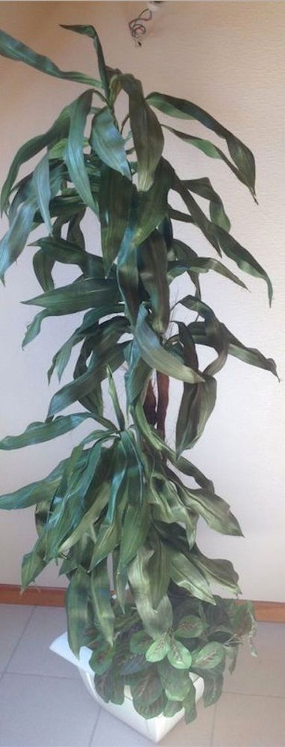 GRANDE PLANTE ARTIFICIELLE COMPOS&Eacute;E Ht 162cm
Décoration
