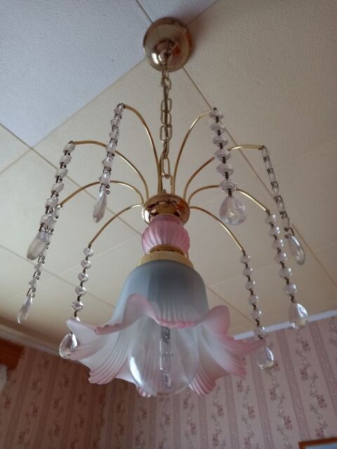 lustre suspension rose 25 Villiers (86)