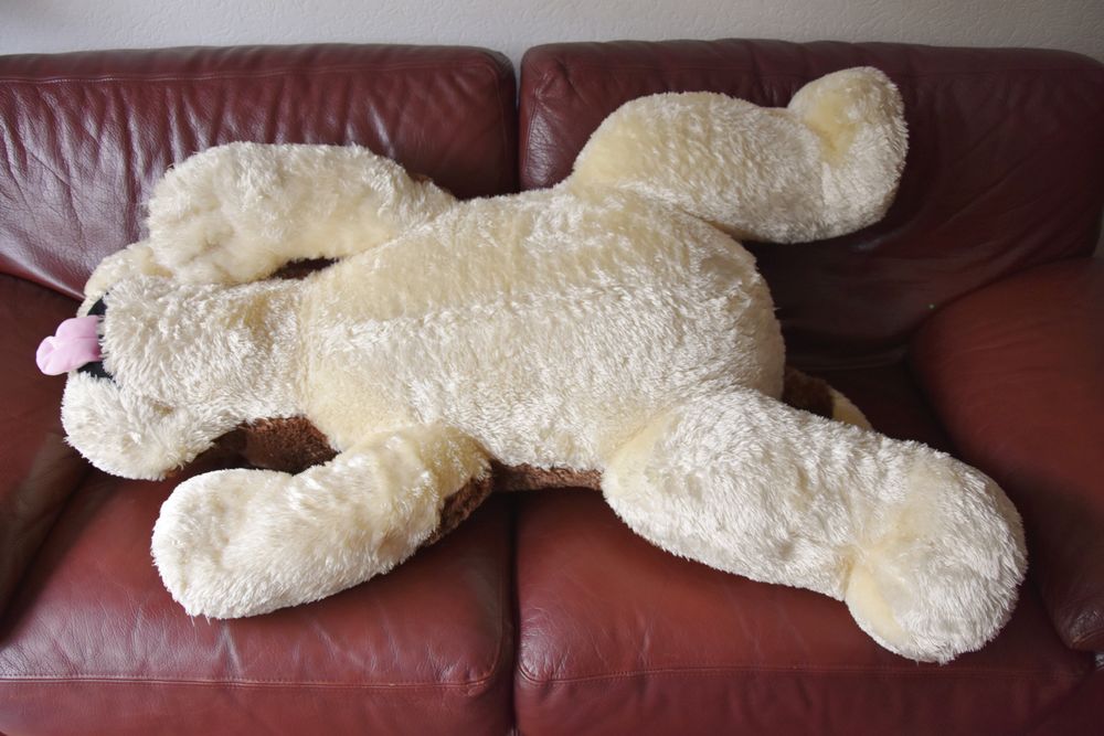Peluche G&eacute;ante chien toute douce. 1m20. Neuve. Jeux / jouets