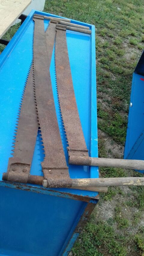 scies de long / passe-partout 45 Vendeuvre-du-Poitou (86)