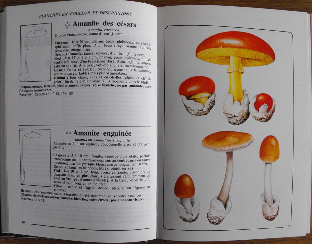 60 CHAMPIGNONS 190 RECETTES Livres et BD