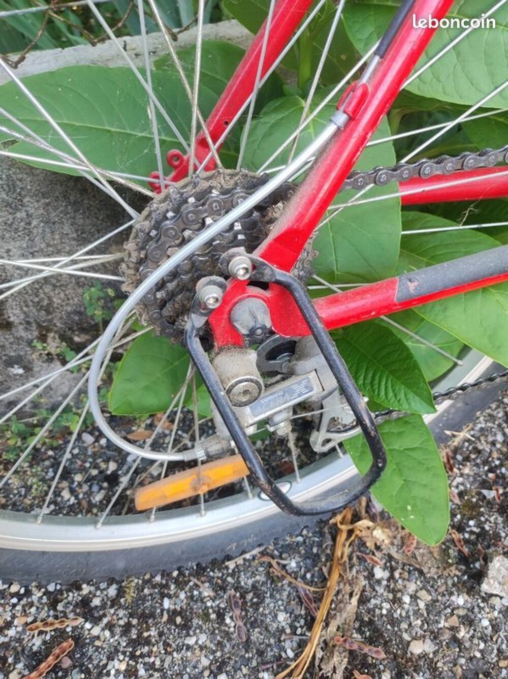 VTT - Giant avec Phare rechargeable Vélos