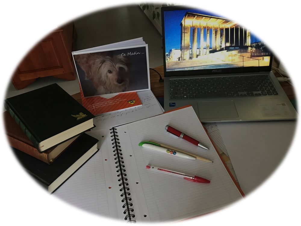   Ecrivain public pour particuliers 