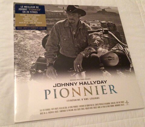 Double vinyle Johnny Hallyday Pionnier  25 Plessis-Saint-Jean (89)
