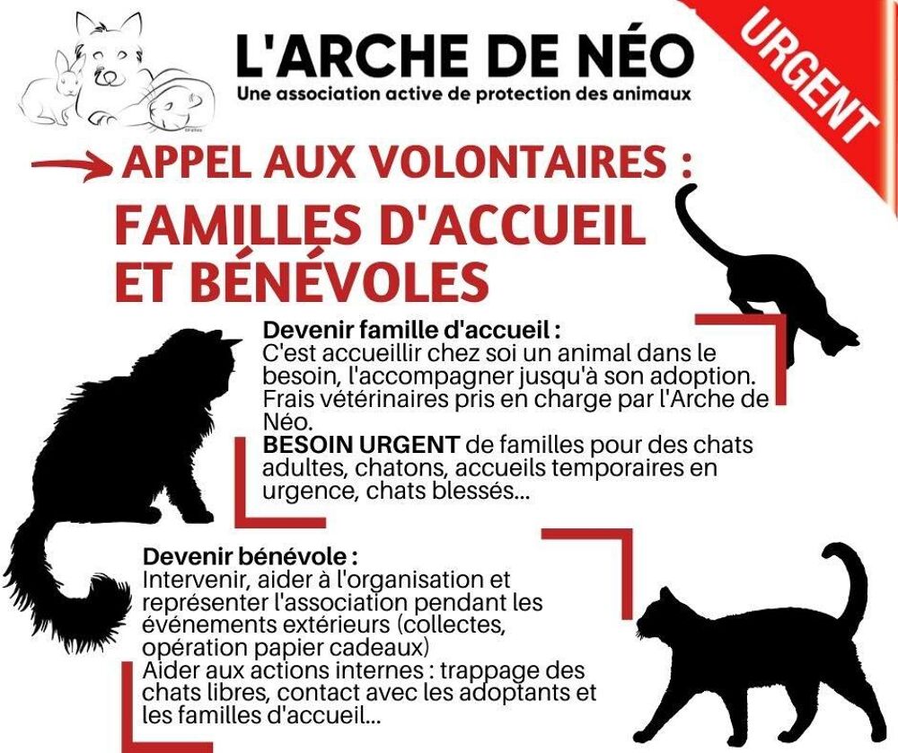   Recherche bénévoles et familles d'accueil 