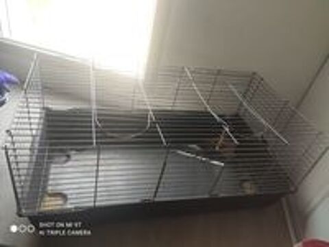   Cage pour lapin  