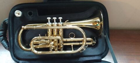 Cornet PTP 300 280 Vznobres (30)