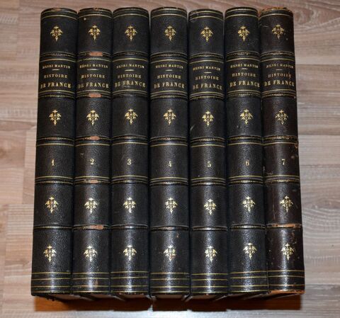 Histoire de France Populaire. Henri Martin - 7 volumes 150 Roissy-en-Brie (77)