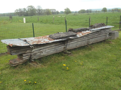 Bille de ch�ne 0 Vendresse (08)