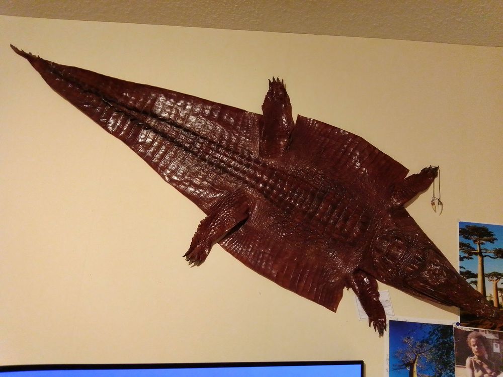 Peau de crocodile unique collector Maroquinerie