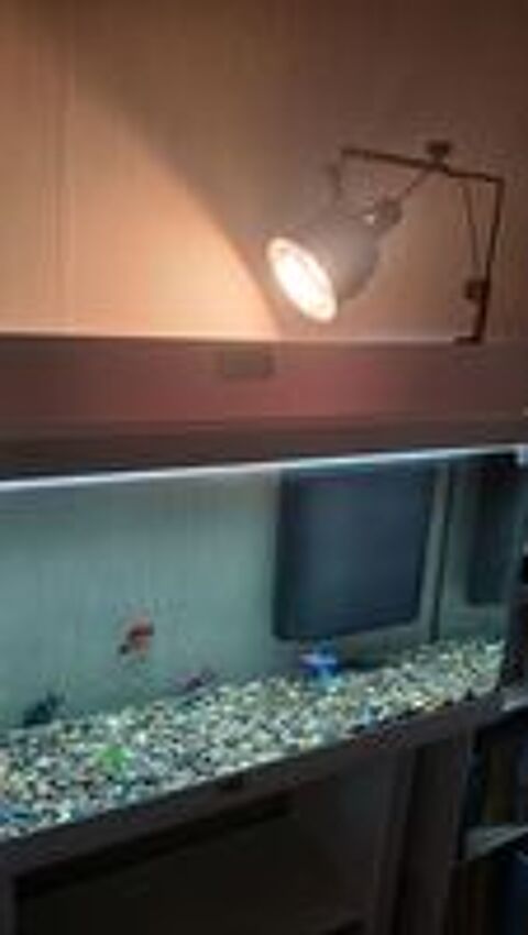   Aquarium aquadisio + meuble complet  