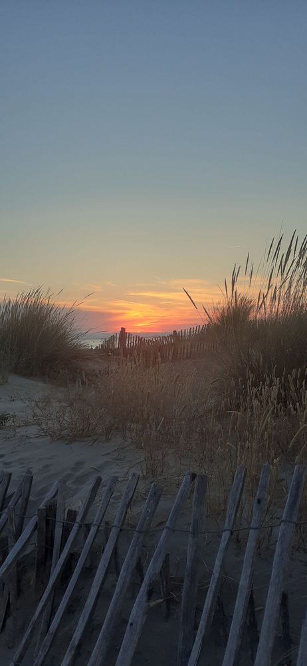   studio  cosy  direct plage.PROMO   du 08 au 15aout Languedoc-Roussillon, Port Camargue (30240)