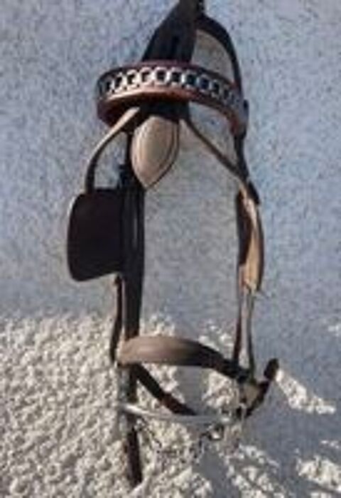   Bridon  en cuir marron 