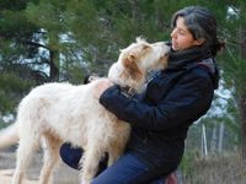  CHARCO, magnifique griffon sensible à adopter  