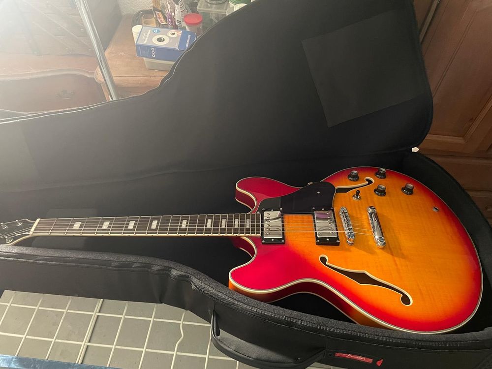 Guitare Jazz Instruments de musique