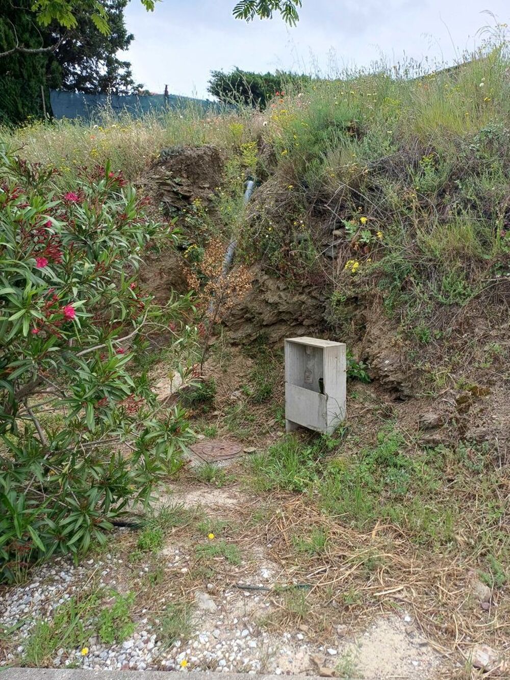 Vente Terrain terrain constructible pour 2 maisons Montner
